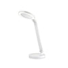 Foldable LED Cosmetic Lamp