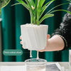 Self Watering Pot