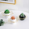 Planet Plant Pot
