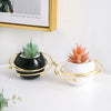 Planet Plant Pot