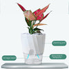 Self Watering Pot
