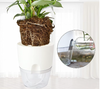 Self Watering Pot