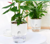 Self Watering Pot