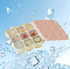 Cookie Ice Cube Tray
