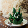 Aloe-shaped Ceramic Ring Holder