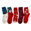 Christmas Socks (5 Pairs)