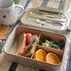 Airtight Leakproof Lunch Box