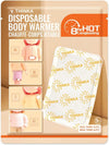 Disposable Body Warmer (30pcs)